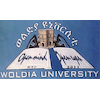 Woldia University