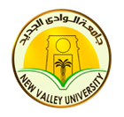 New Valley University