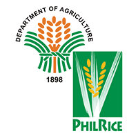 Philippine Rice Research Institute