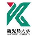 The International University of Kagoshima
