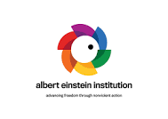 Albert Einstein Institute