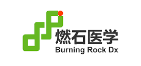 Burning Rock Biotech Ltd.