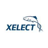 Xelect Ltd