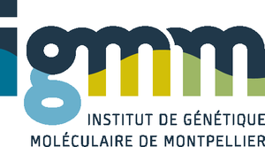 Institut de Génétique Moléculaire de Montpellier