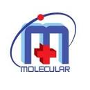Molecular Cyclotrons Pvt Ltd