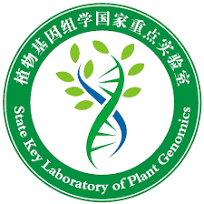Shenzhen Agricultural Genome Research Institute, Chinese Academy of Agricultural Sciences