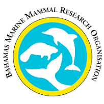 Bahamas Marine Mammal Research Organisation