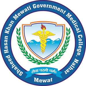 SHKM Government Medical College Nalhar Mewat