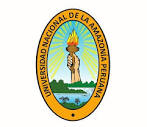 Universidad Nacional de la Amazonía Peruana