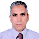 Fauzi Saleh Massoud Amer
