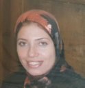 Dina Ahmed Ismaeel Elsilk