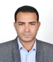 Mohamed S Sheteiwy