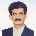 Behzad Shirkavand Hadavand