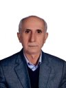 >Mohammad Karim Khodapanahi