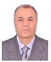 >Abdel Mohsen Onsy Mohamed