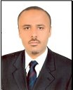 Waleed M. Ismael Picture
