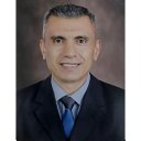 Yasser A. Hamed