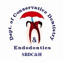 Sbdch Cons And Endo Picture