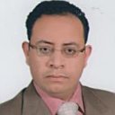 Ayman Shaalan