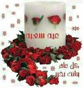 >Neveen Abdel-Raouf