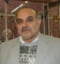 Mohammad Reza Gholami