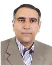 >Mehdi Shahidi Zandi