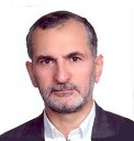 S Majdeddin Mir Mohammad Hosseini