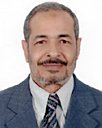 Abdelmoneim Abdelsalam Makhlouf