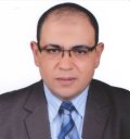 Amr E. Mohamed