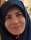 >Farideh Mohammad Alipour