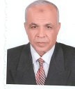 Hassan Nafie