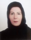 Nasrin Bahraminejad