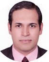 Mohamed A. Hassan