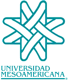 Análisis Académico y Ranking de la Universidad Mesoamericana Oaxaca