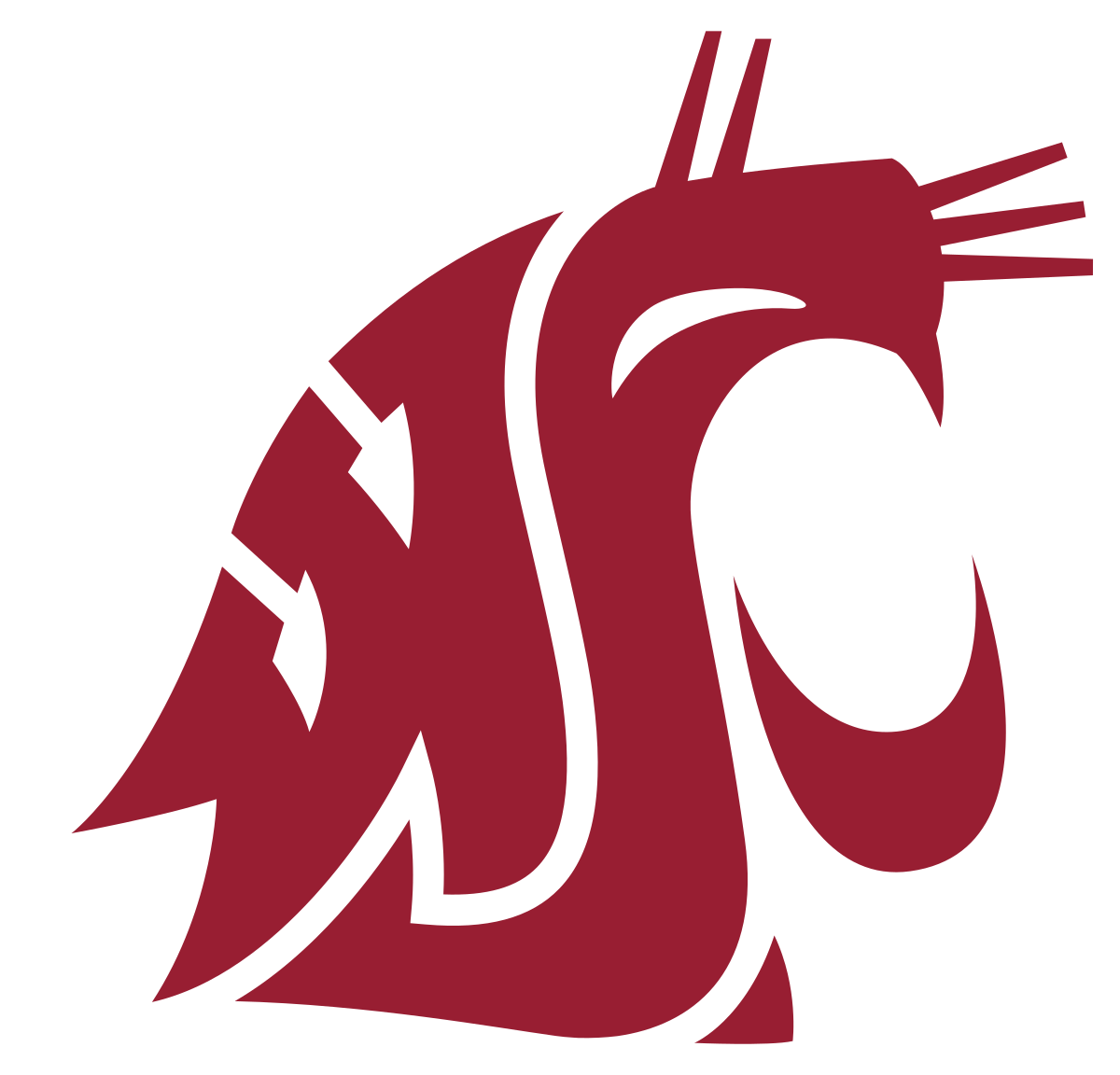 Washington State University Pullman – Excellence in Nanotechnology and Neuroscience Research