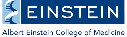 Albert Einstein College of Medicine: Rankings and Research Excellence